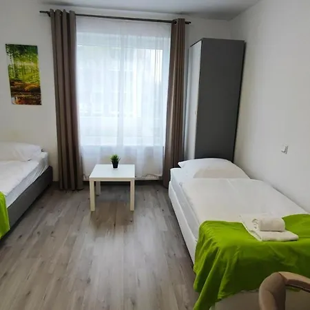 Zimmervermietung38 - Wild 2 דירה זלצגיטר