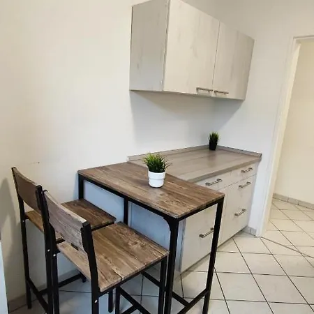 דירה Zimmervermietung38 - Wild 2 זלצגיטר