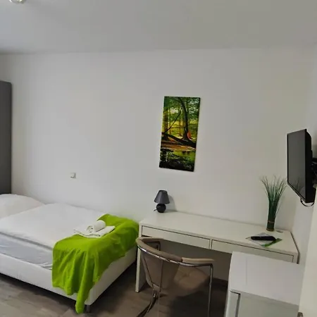 Zimmervermietung38 - Wild 2 דירה זלצגיטר